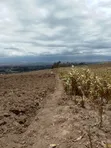 Ekari 2 za Ardhi Zinauzwa, Upper Kinungi, Mwonekano wa Rift Valley - 1