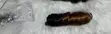 French Curl Hair Extensions 24 Inch - 2
