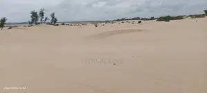 Beach Parcel of Land - 52 Acres