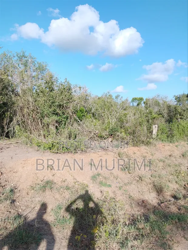 10 Acres Magarini Land for Sale - 1