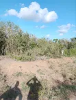 10 Acres Magarini Land for Sale - 1