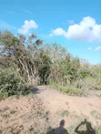10 Acres Magarini Land for Sale - 2