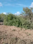 10 Acres Magarini Land for Sale - 3