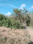 10 Acres Magarini Land for Sale - 4