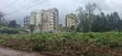 Kinoo Muthiga: 100x100 Plot for Sale - 5