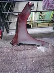 Mazda Demio 2015 Wing/Fender - 2