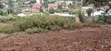 50x100 Residential Plot for Sale - Gikambura Plains View Estate - 2