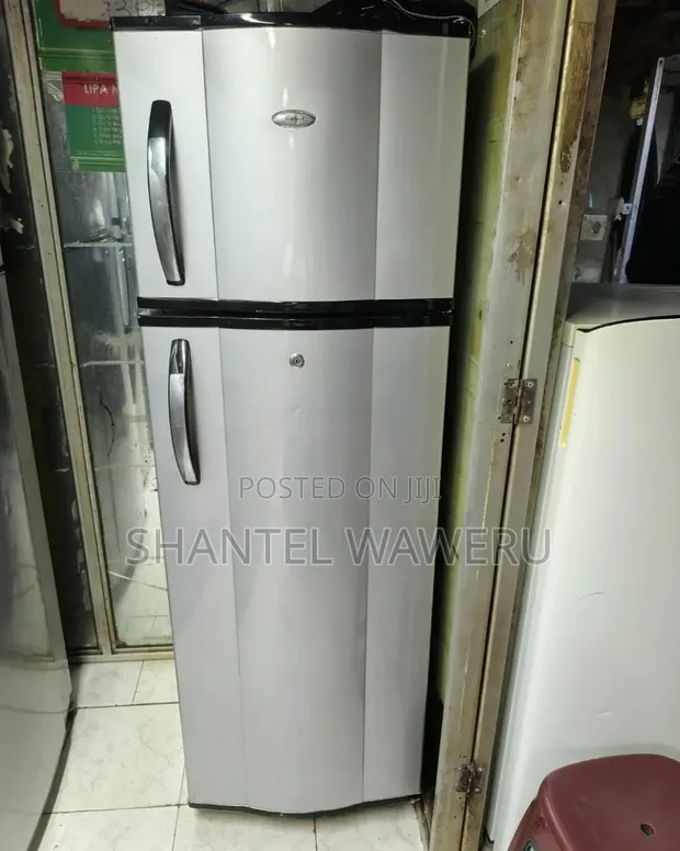 Friji la Premier Milango Miwili 300L - 1