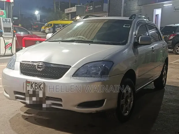 Toyota Corolla RunX 2005 Silver - 1
