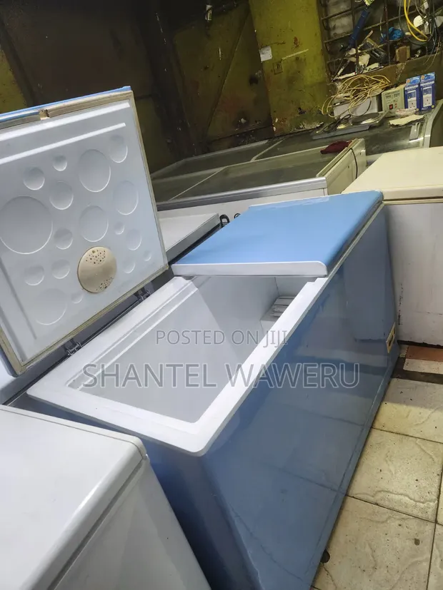 Premier Freezer ya Kifua 500L ya Bluu - 1