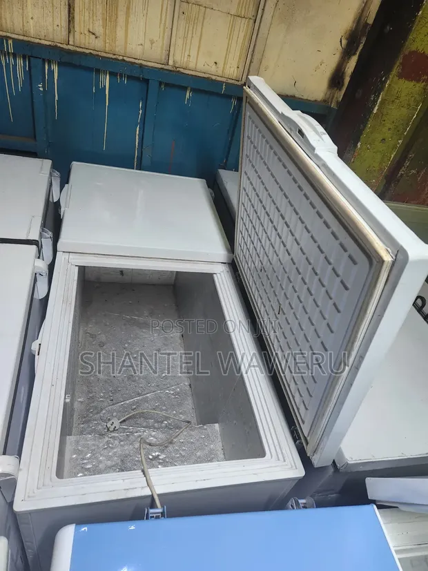 Premier Freezer ya Kifua Asili 550L - 1