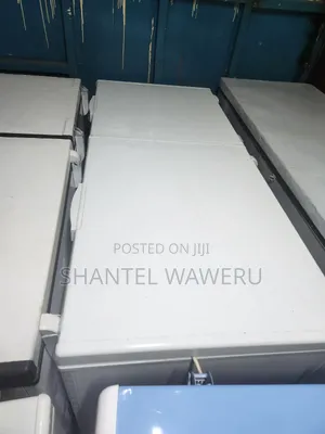 Premier Freezer ya Kifua Asili 550L