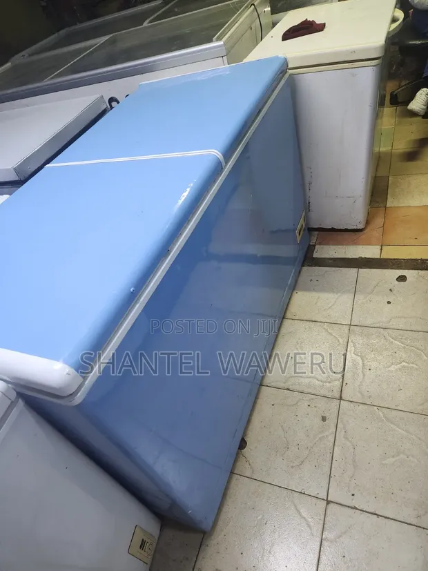 Exuk 450L Chest Freezer - 1