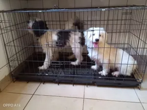 Heavy Duty Foldable Dog Cage/Kennel