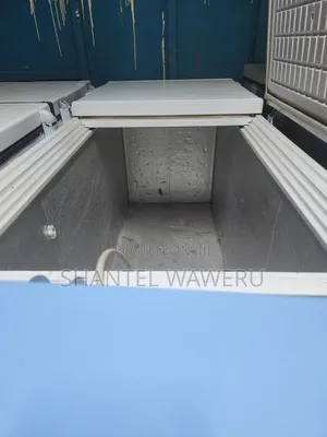 Premier Deep Freezer 600L Iliyotumika Imeidhinishwa