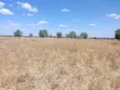 Ardhi Bora ya Kilimo Inauzwa Kitengela - 3