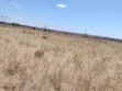Ardhi Bora ya Kilimo Inauzwa Kitengela - 4