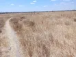 Ardhi Bora ya Kilimo Inauzwa Kitengela - 5