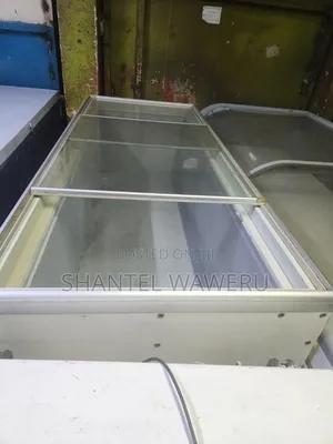 Premier Deep Freezer ya Kuonyesha - Imetumika