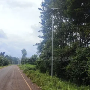 Utengenezaji na Usimikaji wa Nguzo za Taa za Mtaa Zilizobinafsishwa