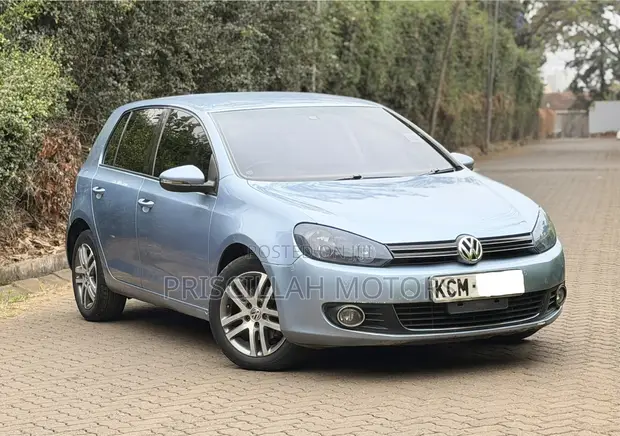 Volkswagen Golf 2010 Bluu - 1