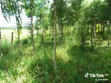 Nusu Eka Ardhi kwa Uuzaji Rangau - 5