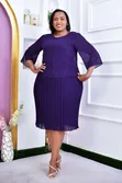 Chiffon Pleated Dress - 4
