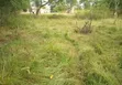 9.6 Acres Syokimau Belgiene Rd for Apartments - 2