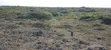 Malindi Beach Plot - 1st Row, 5 Acres at KES 8M/Acre - 2