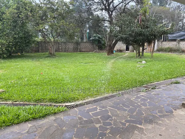 Ardhi Tambarare ya Eka 1 Mtaa wa James Gichuru Inauzwa - 1