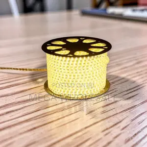 Premium 50M Warm White LED Strip Light