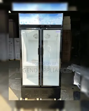Roch 505L Vertical Showcase Refrigerator