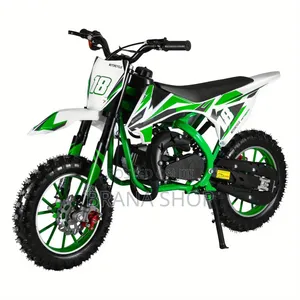 CRF 450RX Style Green Electric Dirt Bike for Kids – 36V 500W