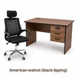 Executive Modern Desk & Office Chairs - 2