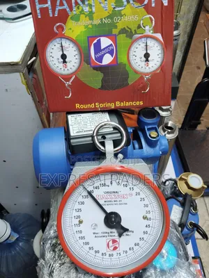 150 KGS Hanson Hanging Scale