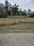 Quarter Acre Distress Sale in Kitengela, 500m from Tarmac - 2