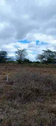 Kiwanja cha Kuuzwa Kitengela, 1km kutoka Barabara ya Lami - 1
