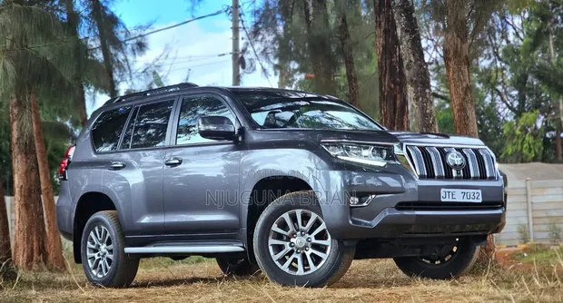 Toyota Land Cruiser Prado 2.8 2019 Grey - 1