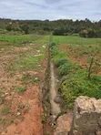 Fertile Residential Plot for Sale in Limuru CBD - 3