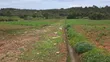 Fertile Residential Plot for Sale in Limuru CBD - 5