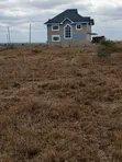 Vipande 50x100 vya Uuzaji Acacia Kitengela - 1