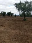 Vipande 50x100 vya Uuzaji Acacia Kitengela - 2
