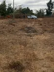 Vipande 50x100 vya Uuzaji Acacia Kitengela - 5