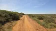 54 Acres Touching Tarmac at Rumuruti - 5