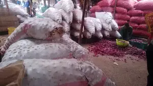 Viazi Vikubwa vya Shangi - Vinapatikana kwa Wingi
