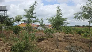 100 Acres Farmland for Sale in Kajiado Mashuru