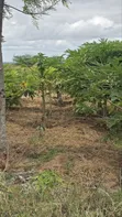 100 Acres Farmland for Sale in Kajiado Mashuru - 2
