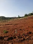 Amcco Gardens Nachu - Kiwanja cha Makazi kwa Uuzaji - 2