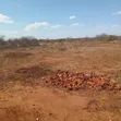 Affordable Plots for Sale in Matuu - 1