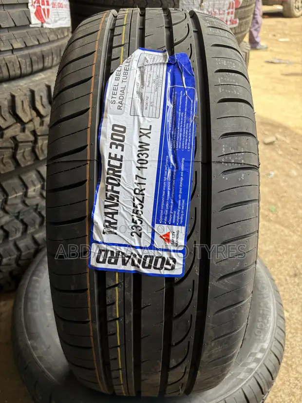 Tairi ya Goddard 235/55R17 103W XL - 1